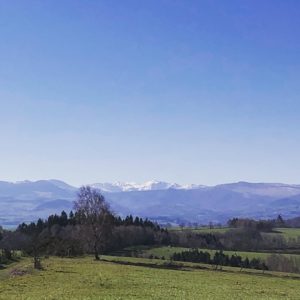 Vue sur le massif du Sancy