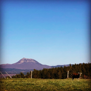 Vue Puy-de-Dôme