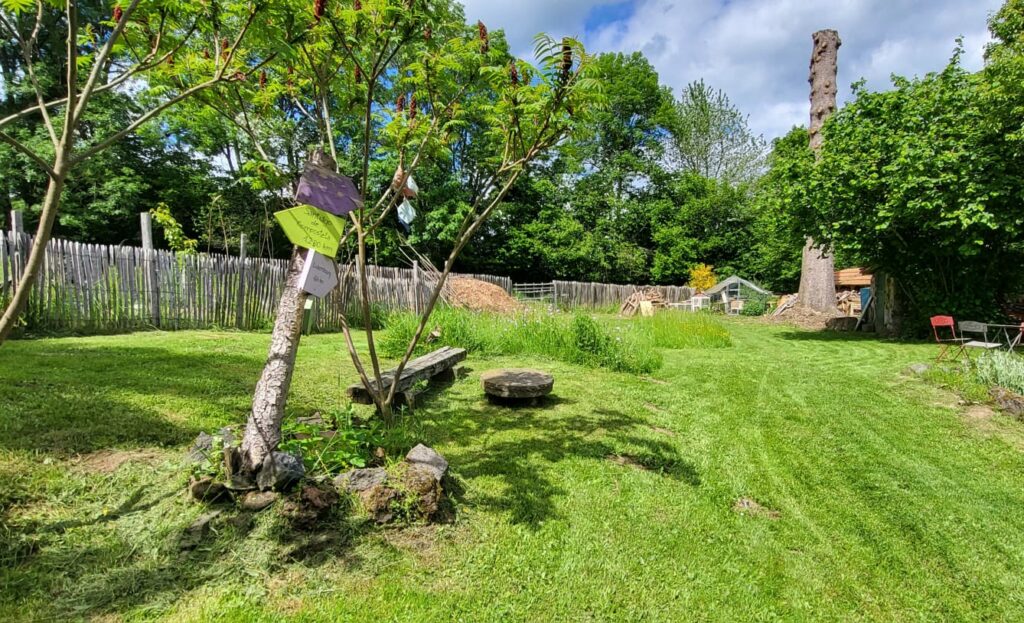 Jardin