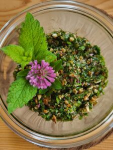 Pesto plantes sauvages